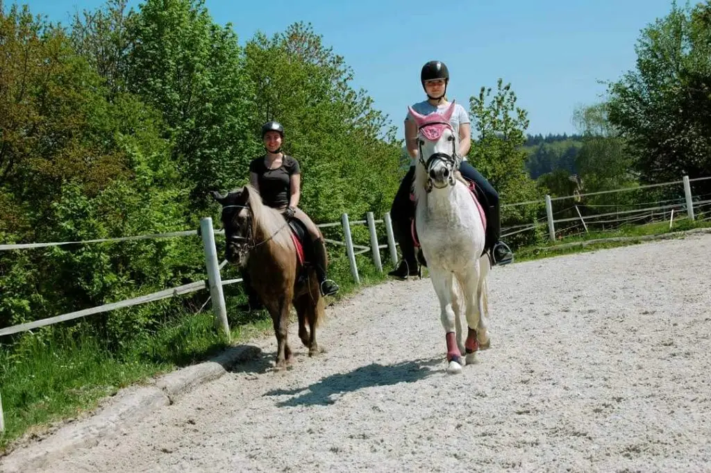 Reiten in Pforzheim
