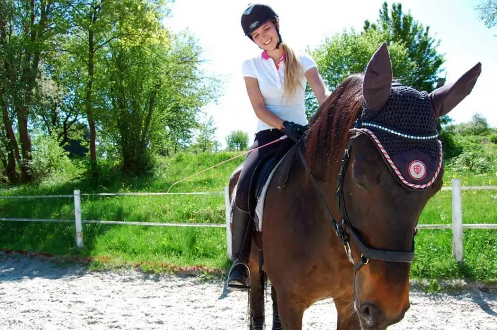 Reiten in Pforzheim - Würm