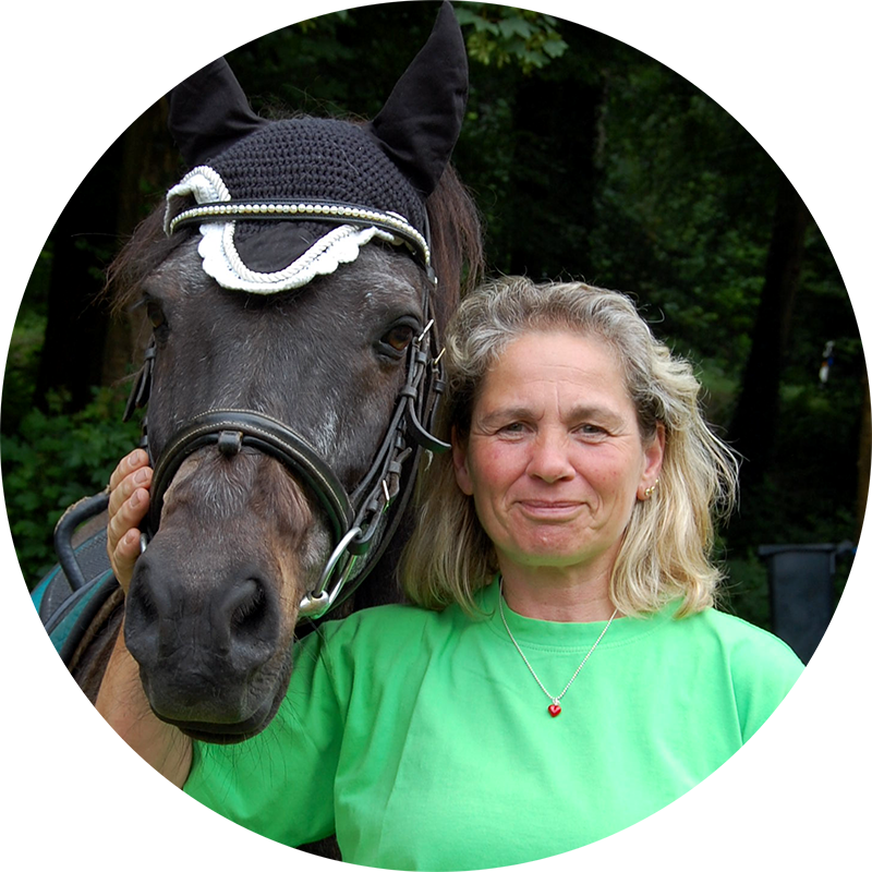 Reiten in Pforzheim mit Heike Steinbrenner