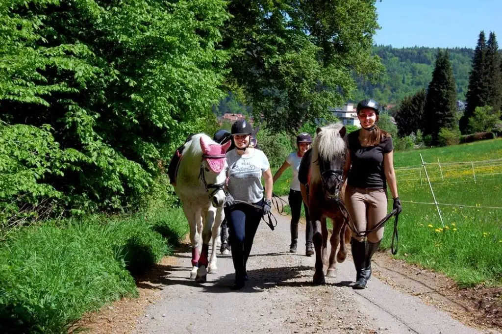 Reiten und Spaziergänge mit Pferden in Pforzheim